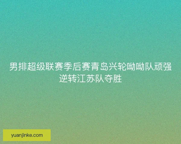 男排超级联赛季后赛青岛兴轮呦呦队顽强逆转江苏队夺胜